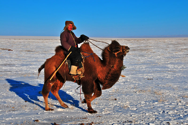 Mongolie